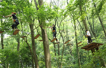 历奇探险丛林飞越树上拓展丛林穿越视频