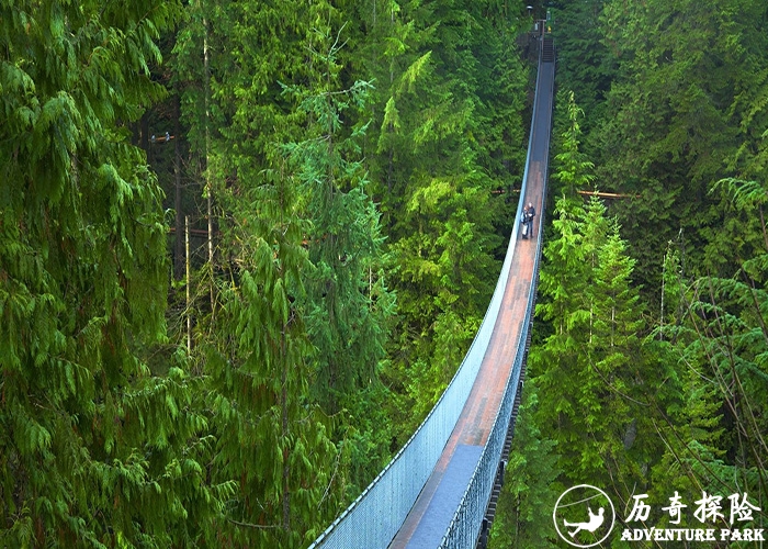 趣桥游乐工程设计生产制造 挑战桥 悬索桥旅游景区网红桥工程安装建设施工厂家