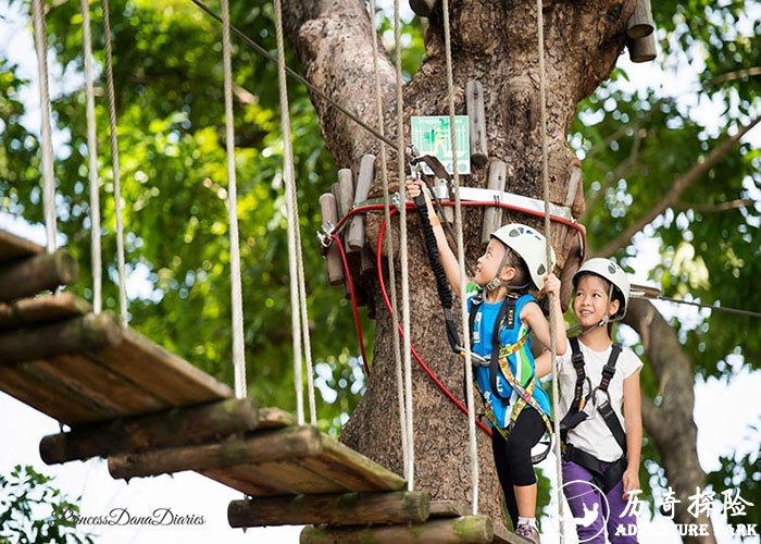 树上冒险 森林冒险 树上拓展 树上训练 丛林拓展   历奇探险森林冒险主题乐园