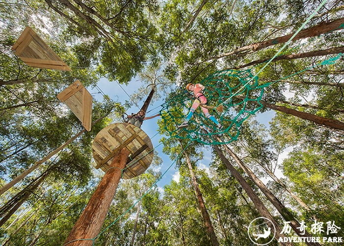 丛林穿越 丛林滑索 丛林拓展工程建设 历奇探险规划设计施工