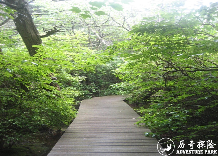 户外观光步道 河道木塑围栏 历奇探险景观栈道 空心木塑步道