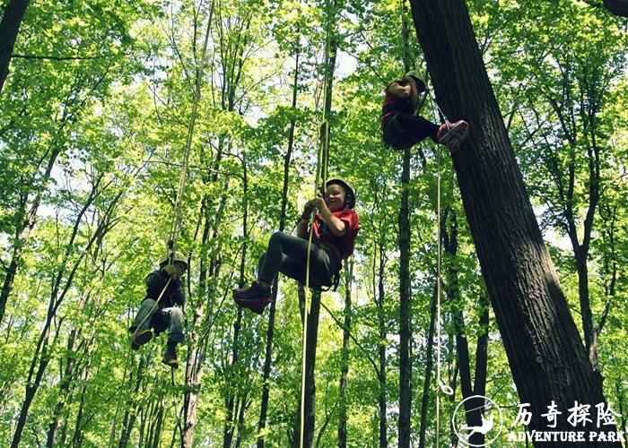 儿童成人亲子攀树森林探险 厂家历奇探险 主题乐园场地设计 树上拓展绳索攀爬