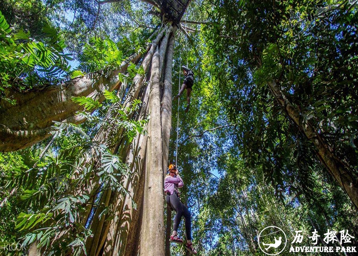  攀树 树上攀爬 攀树探险主题乐园 亲子体能拓展设备 盛攀耐力训练