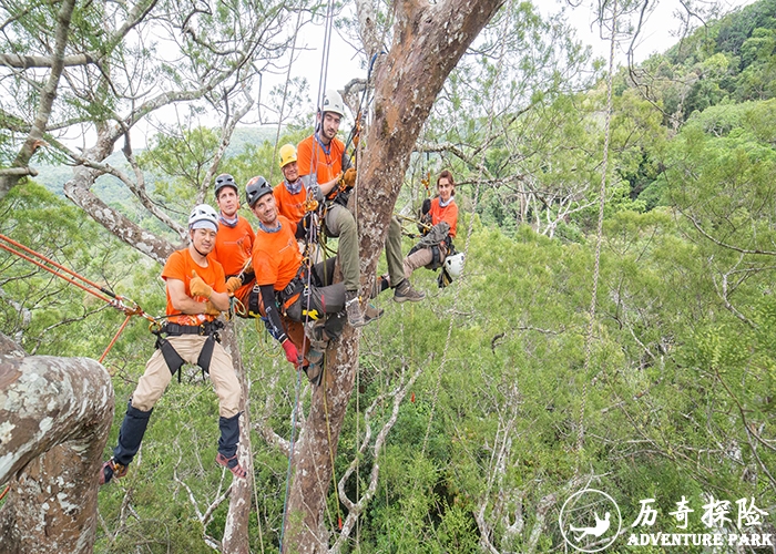 攀树 爬树 树顶探险探险乐园 绳攀拓展器材  厂家规划设计建设景区