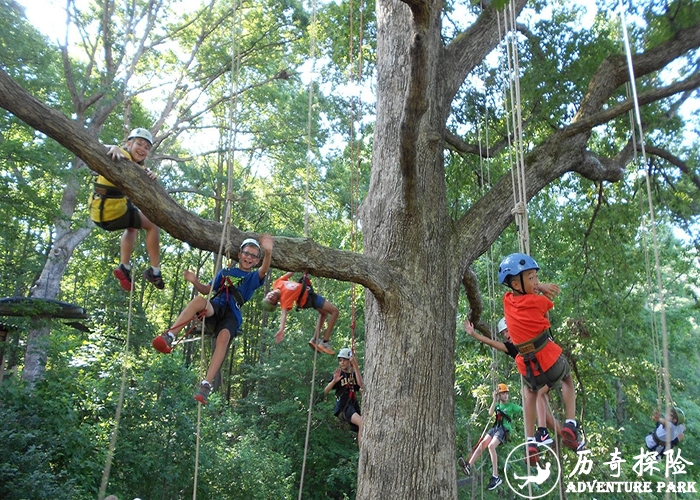攀树 树上拓展 森林探险主题乐园 厂家历奇探险安装 绳索攀爬体能训练器材