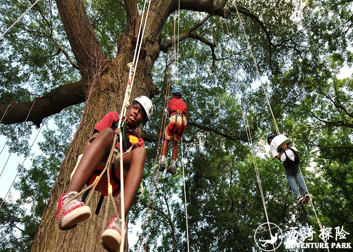 SRT绳索攀树项目设计厂家 攀树绳动力绳主绳安全绳 攀爬绳索耐力训练设备