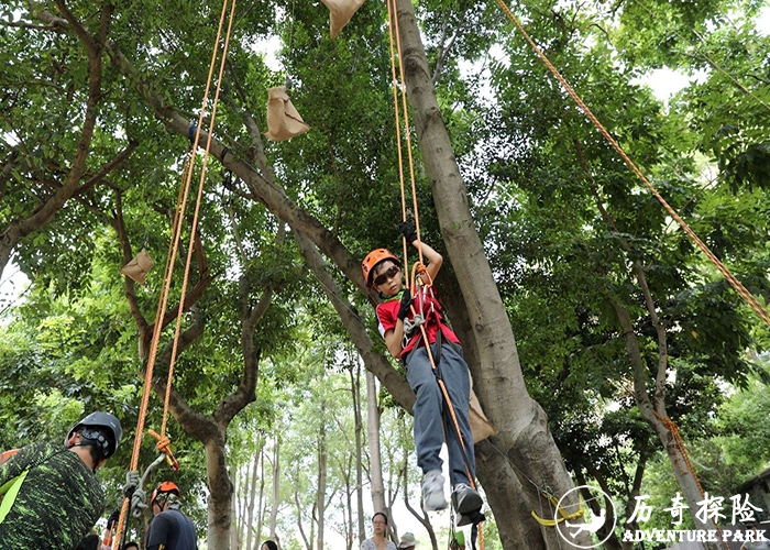 攀树设备 爬树保护器械 园林高空树上作业 旅游景区生态园绳索攀爬训练设备